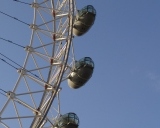 أميرة عبد الرحمن